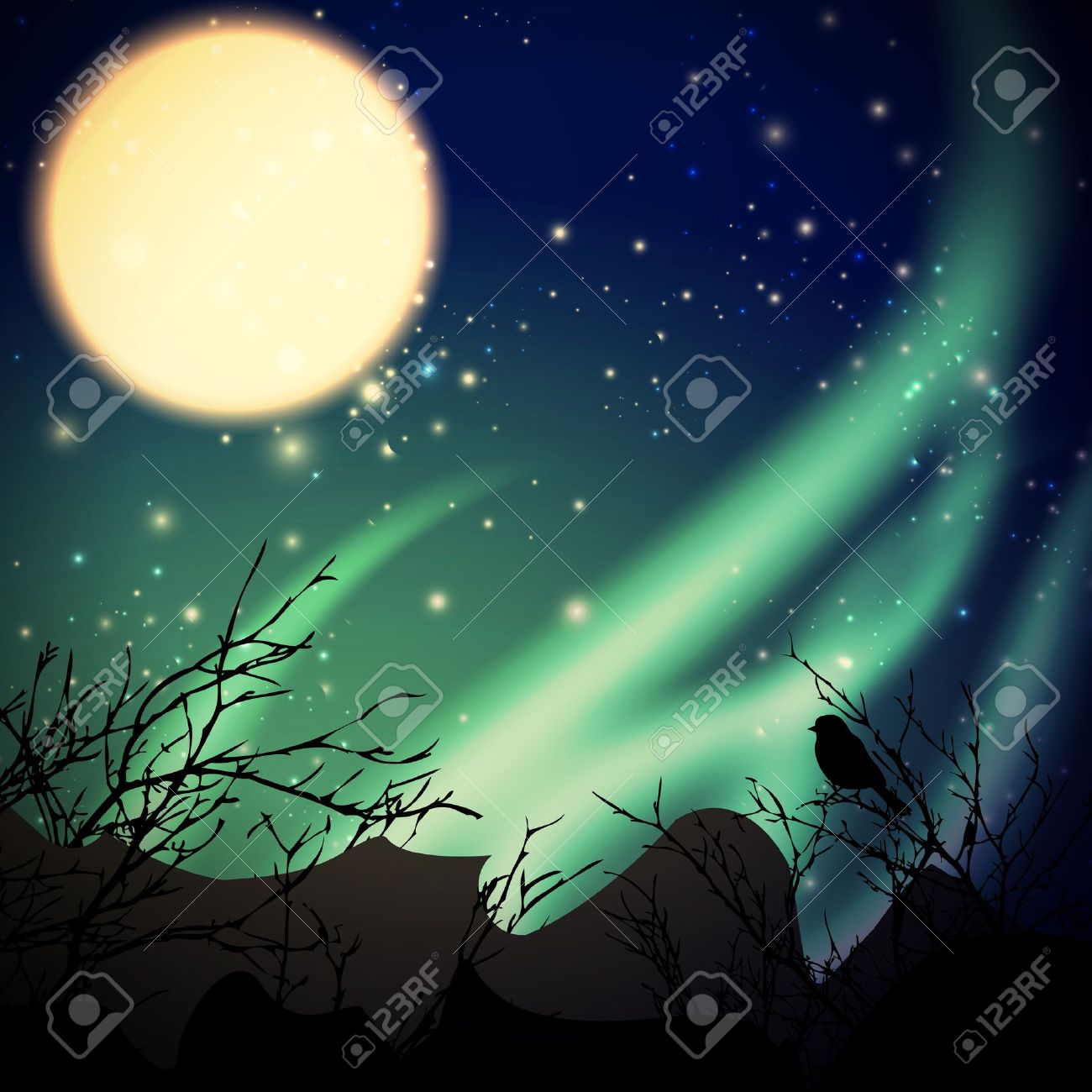 night with northern lights and moon - 13513977 night with northern lights and moon - 13513977