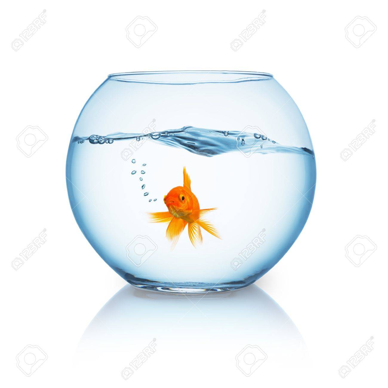 Fishbowl With Wavy Water And A Breathing Goldfish Isolated On White Stock Photo Picture And Royalty Free Image Image