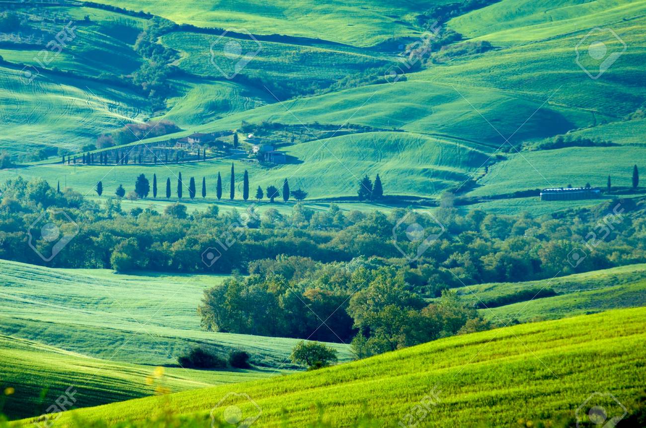 イタリアのトスカーナ地方の田舎の風景です。の写真素材・画像