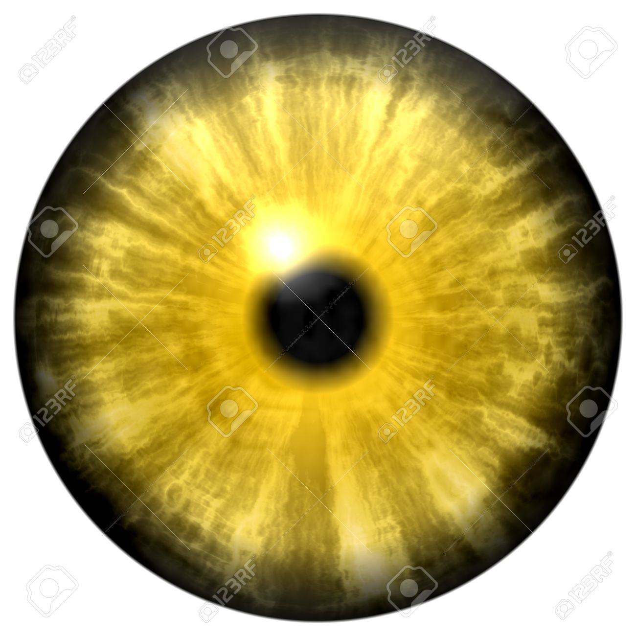小瞳孔と網膜の黒い背景に黄色の動物の目。瞳、目の電球に詳細ビューの