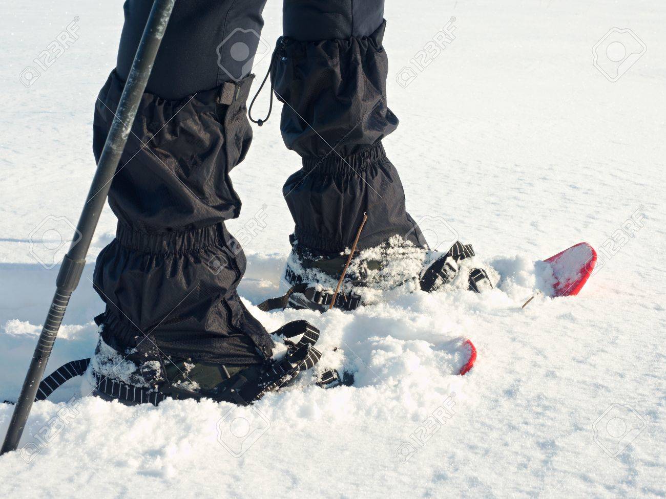 スノーシュー ポール 一時停止