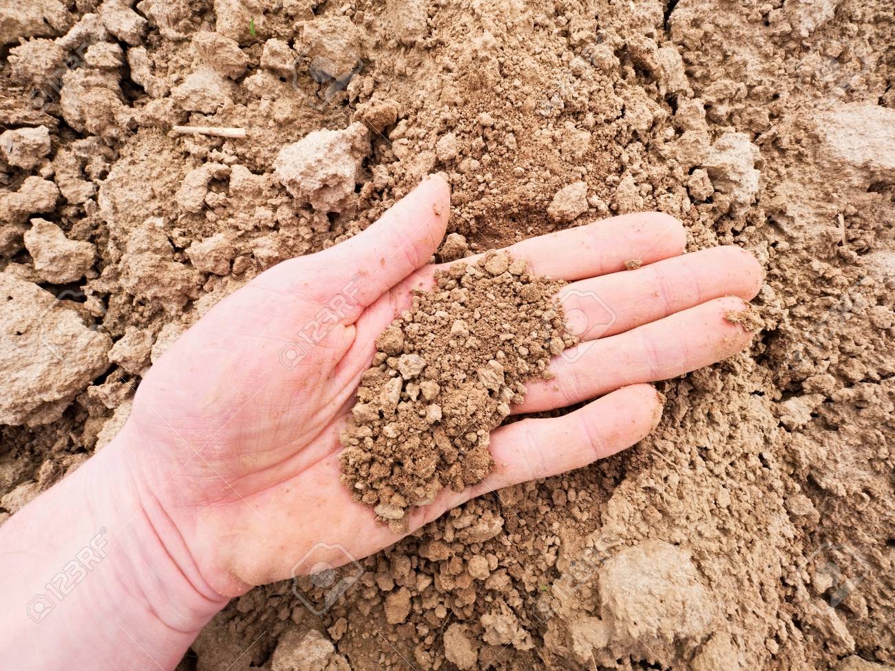 pink skin hand looking for something in brown wet clay in the