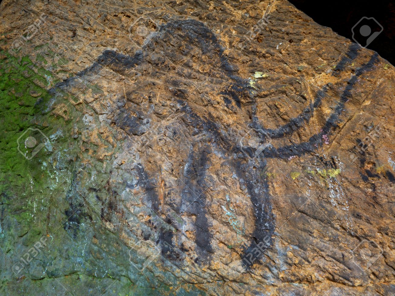 prehistoric art of mammoth in sandstone cave spotlight shines prehistoric art