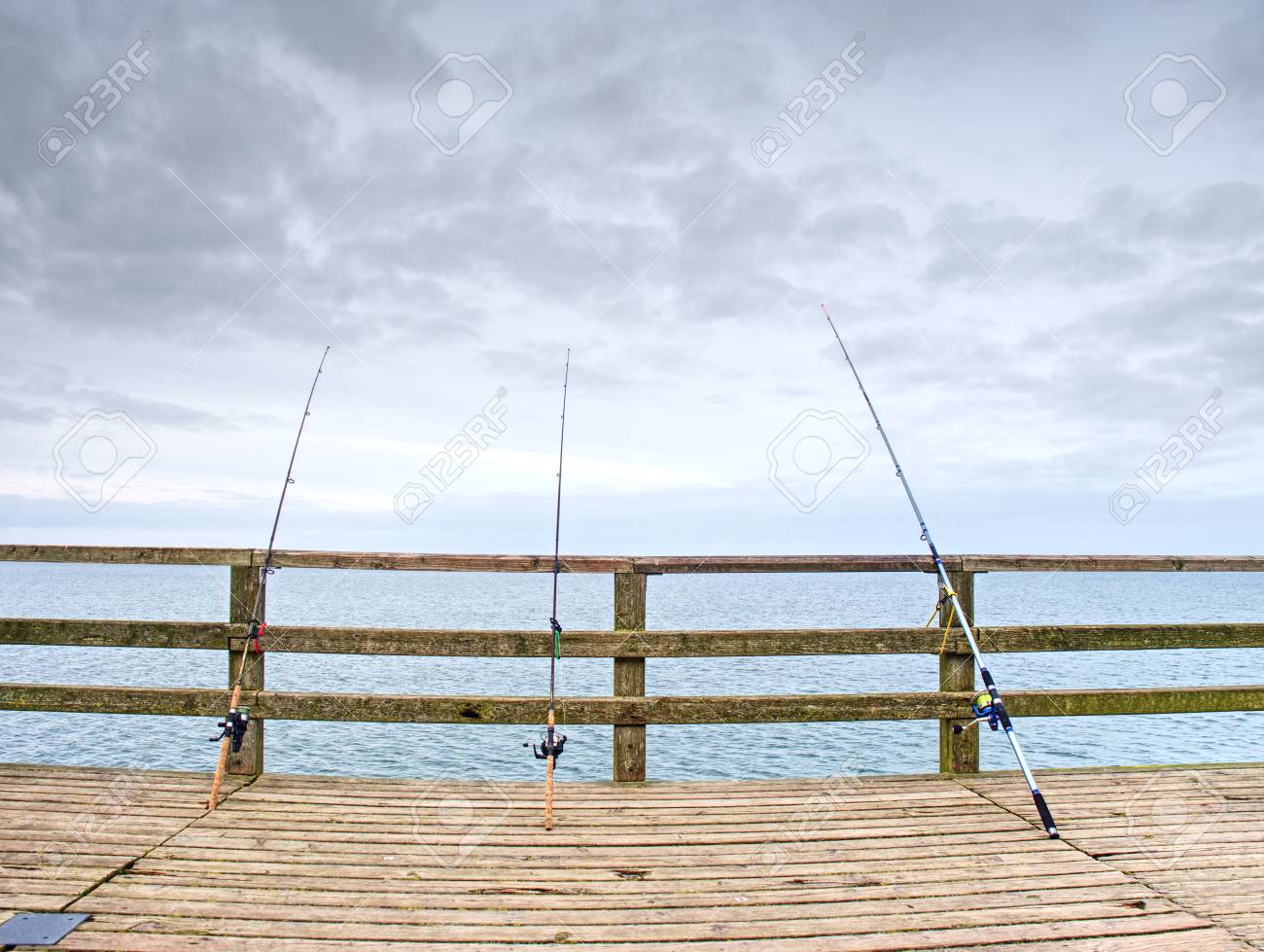 beach fishing rod