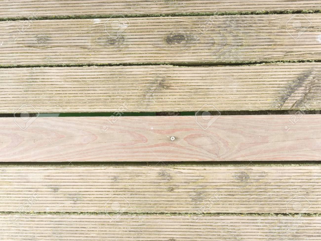 緑の苔または苔のカバーと自然な納屋の木の床 素朴な外観と苔むした苔むしたハードウッドの板やボード の写真素材 画像素材 Image