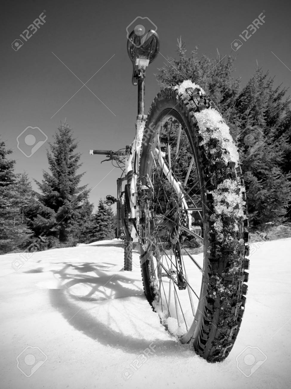 winter bike wheels