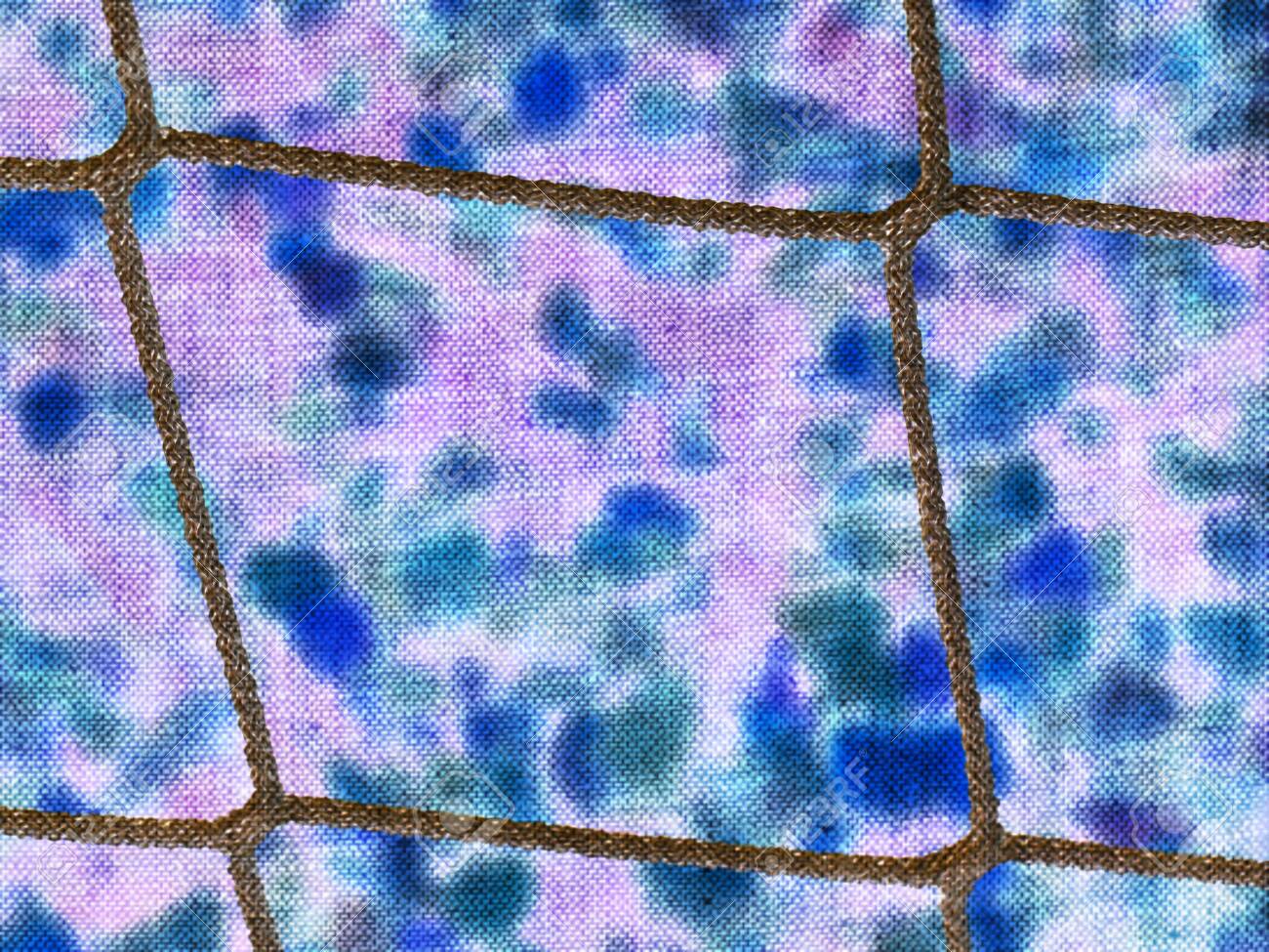 etiam-dictum-ipsum-a-felis