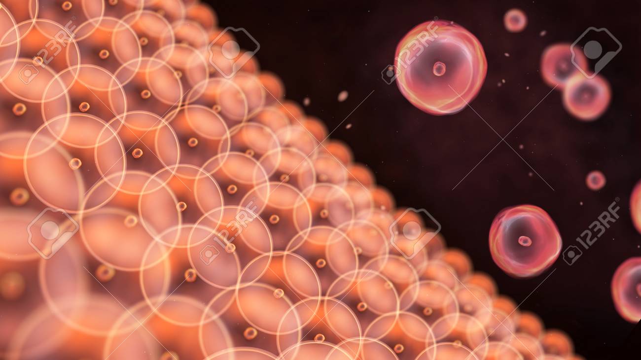 Abstract illustration of cells in mitosis and multiplication of cells for beauty and biology concept - 40578464 Abstract illustration of cells in mitosis and multiplication of cells for beauty and biology concept - 40578464