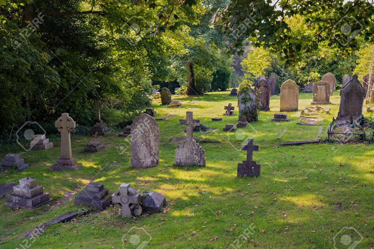 The Graveyard In The Woods