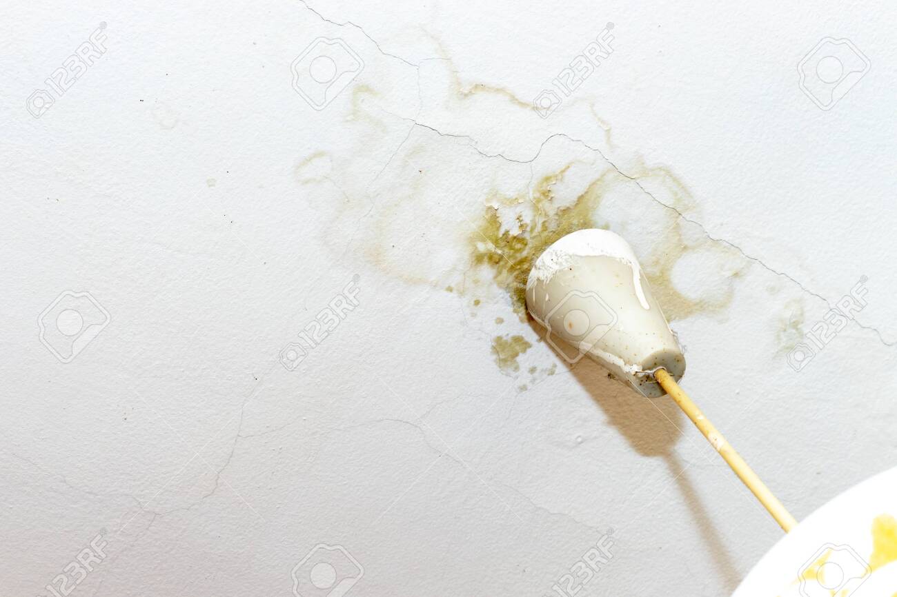 Water Leak On White Ceiling Insurance Accident Because Of Neglect