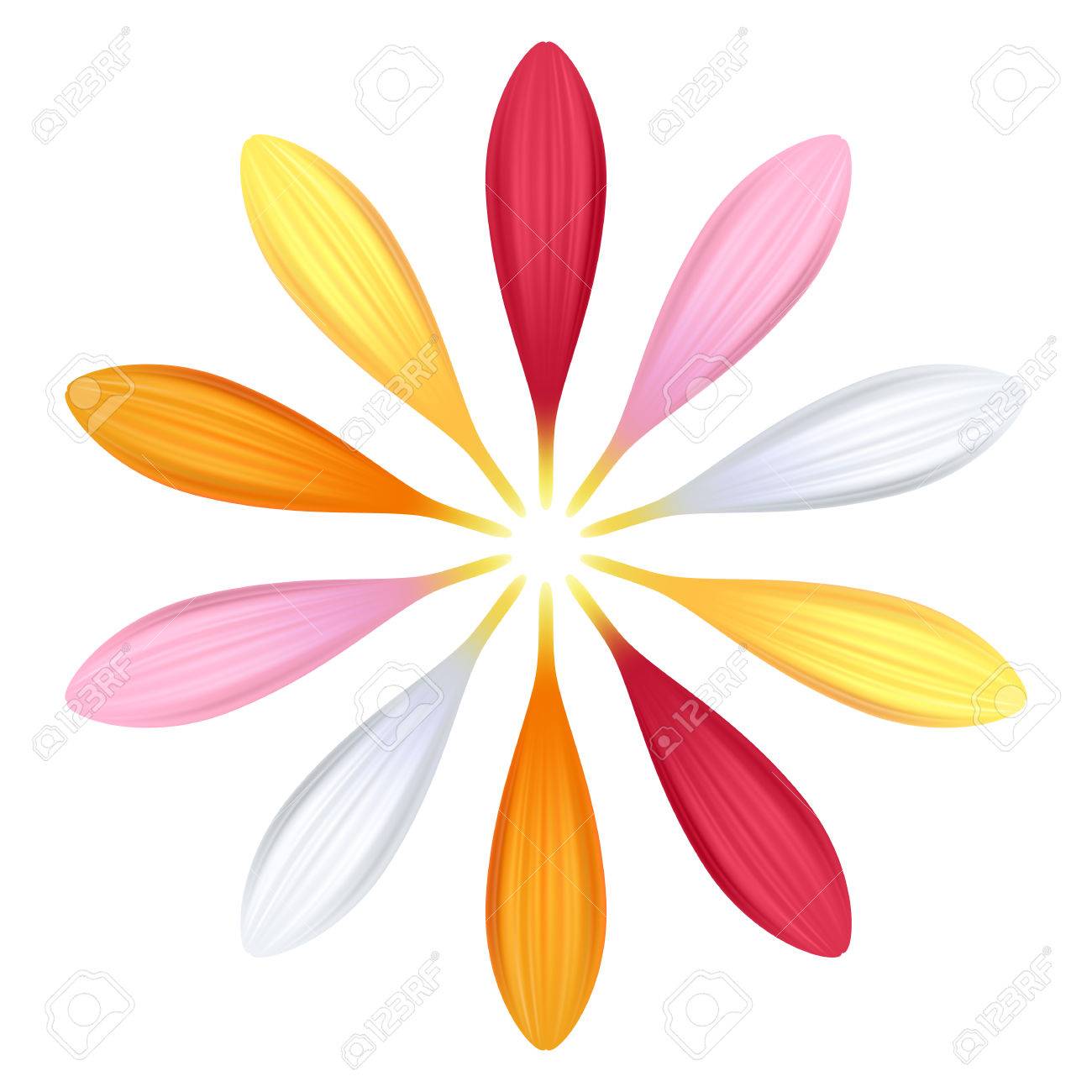 カラフルなガーベラの花びらのセットです 花の部分 ピンク 赤 白 黄色とオレンジ色 のイラスト素材 ベクタ Image