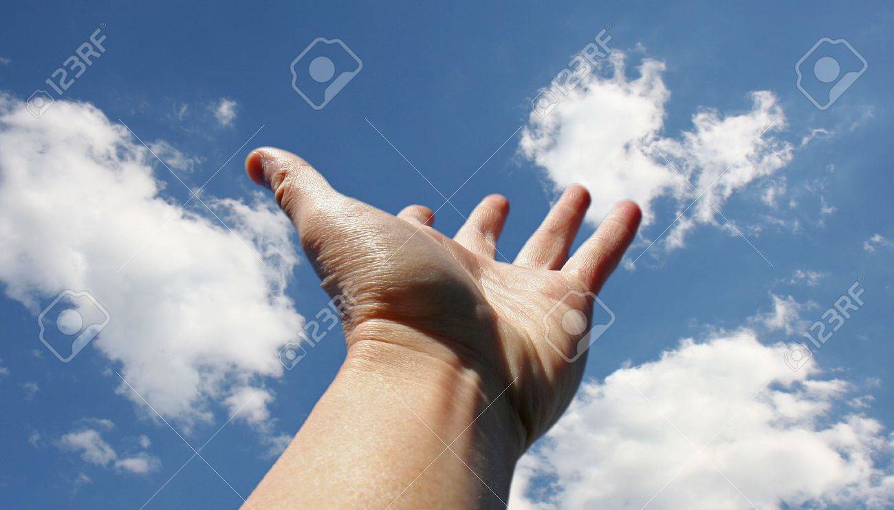 798463-reaching-for-the-sky.jpg
