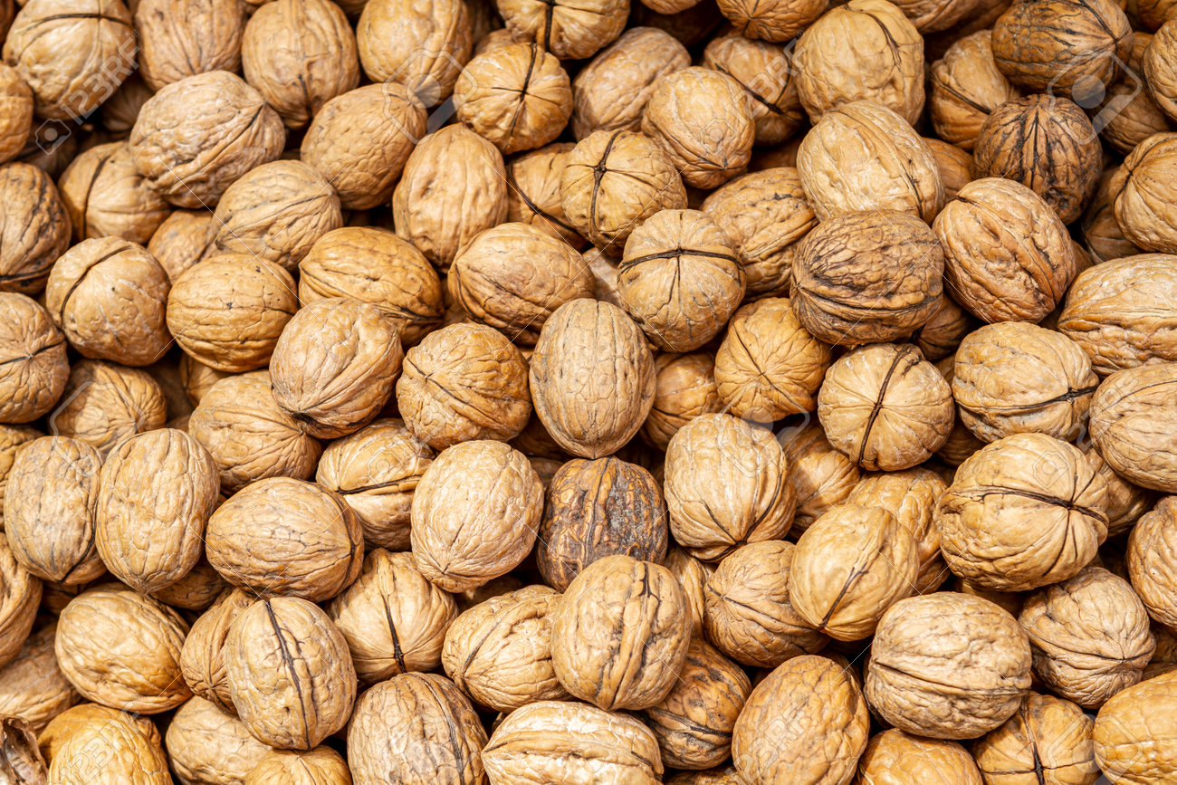 Walnuts background closeup, pile of unshelled nuts - 161437501 Walnuts background closeup, pile of unshelled nuts - 161437501