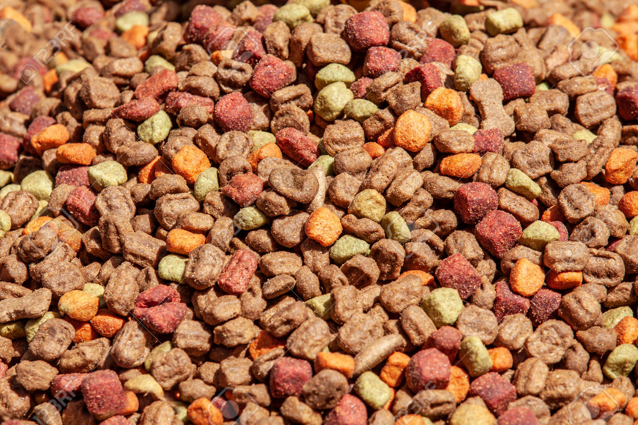Close up of cat dried colorful food background - 162319069 Close up of cat dried colorful food background - 162319069