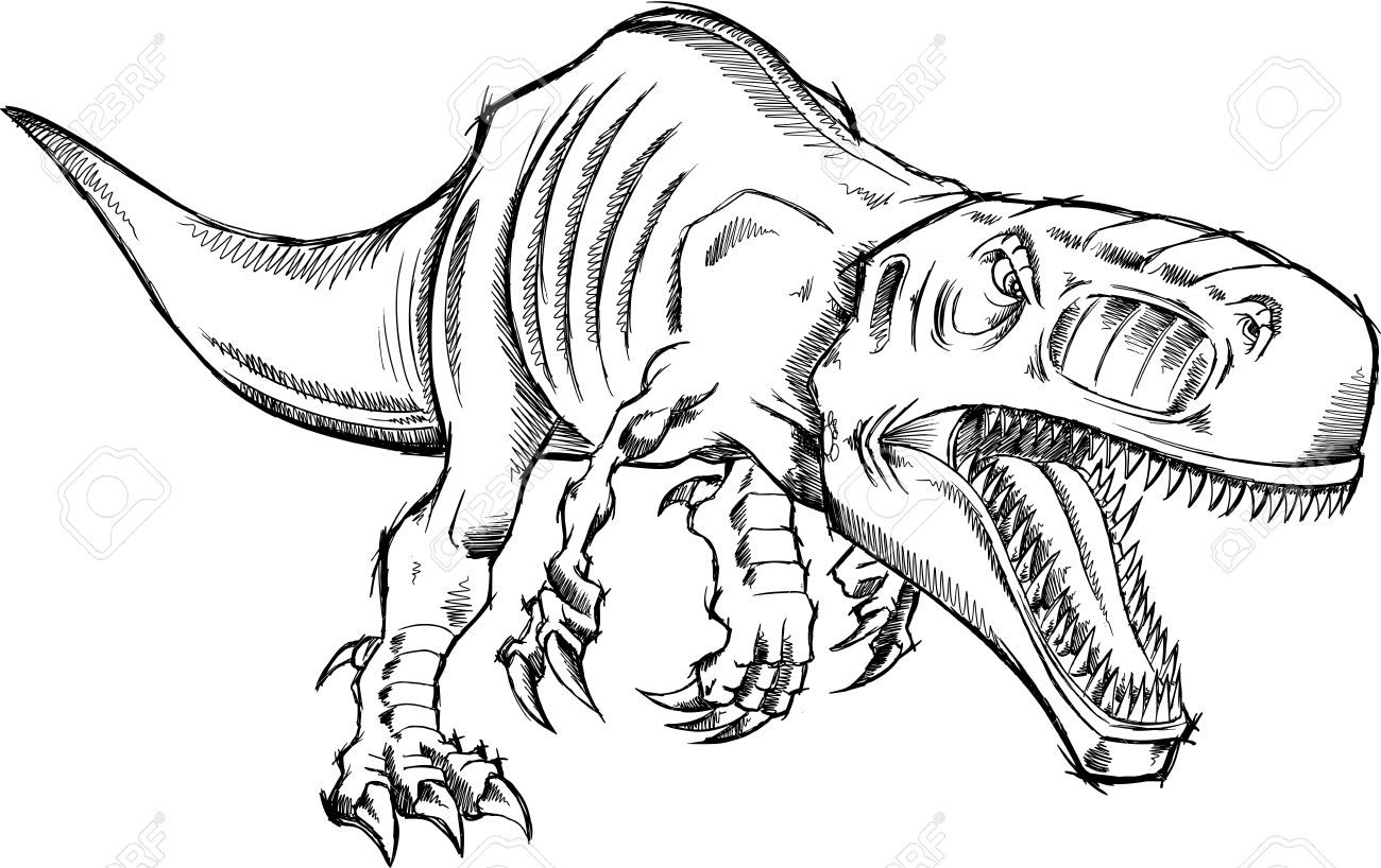 sketch tyrannosaurus rex dinosaur t rex royalty free cliparts