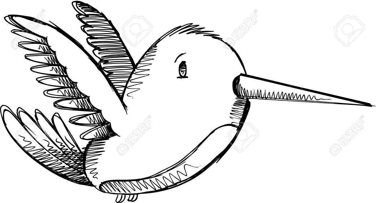 cute hummingbird sketch drawing