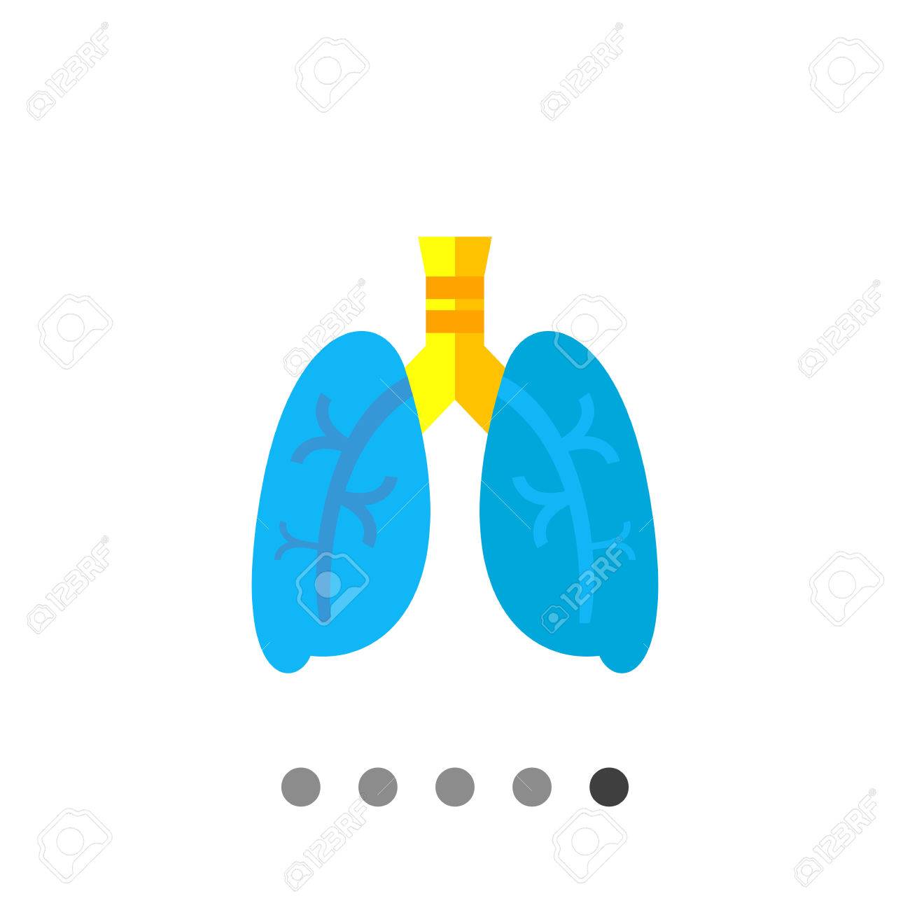 肺はベクトル アイコンです 人間の呼吸器系の臓器の色とりどりのイラスト のイラスト素材 ベクタ Image