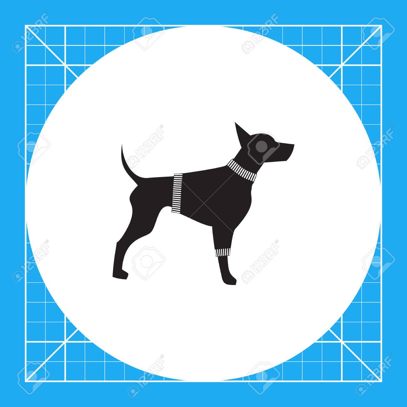 doberman wearing clothes