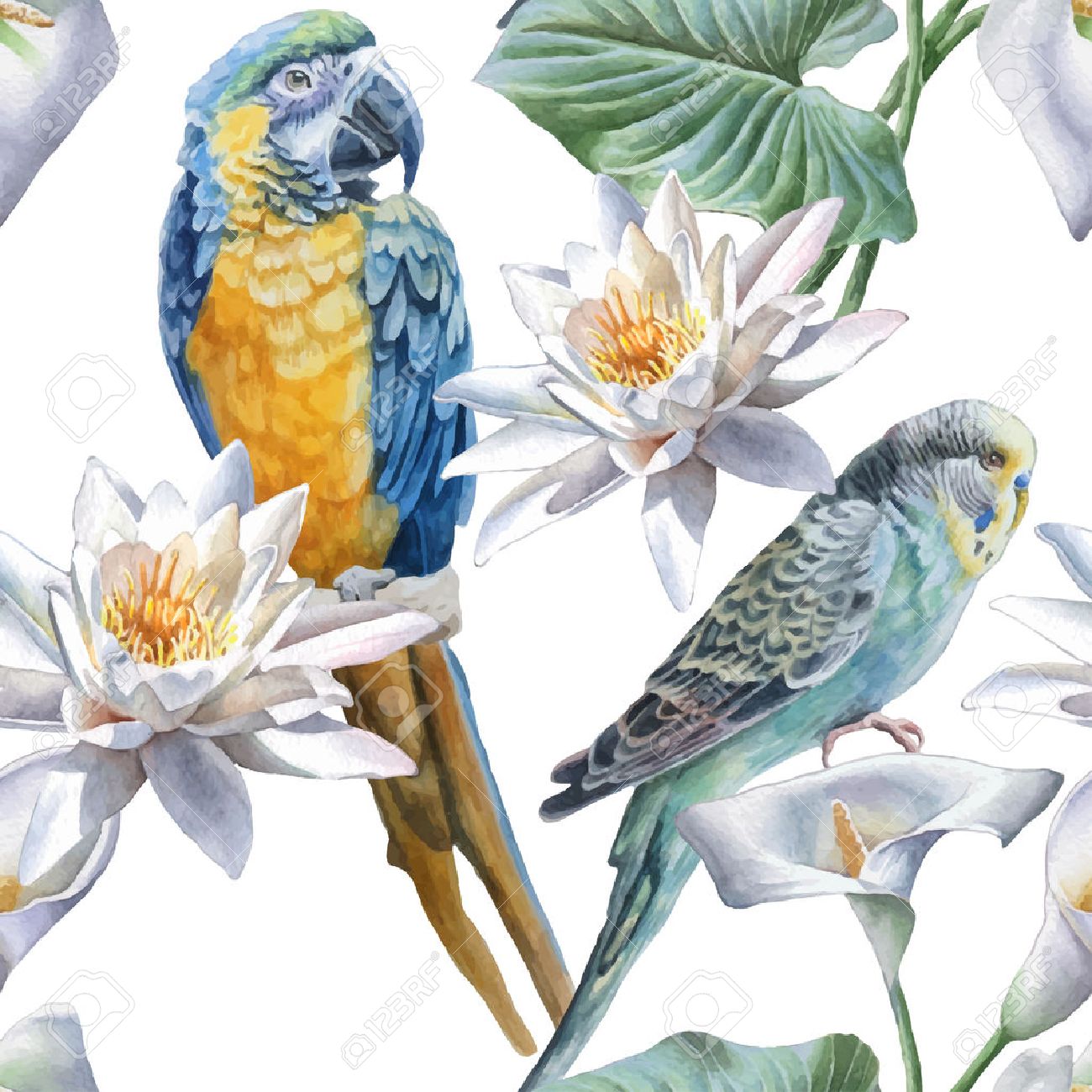 花と鳥とのシームレスなパターン 水彩の手描き のイラスト素材 ベクタ Image 花と鳥とのシームレスなパターン 水彩の手描き のイラスト素材 ベクタ Image