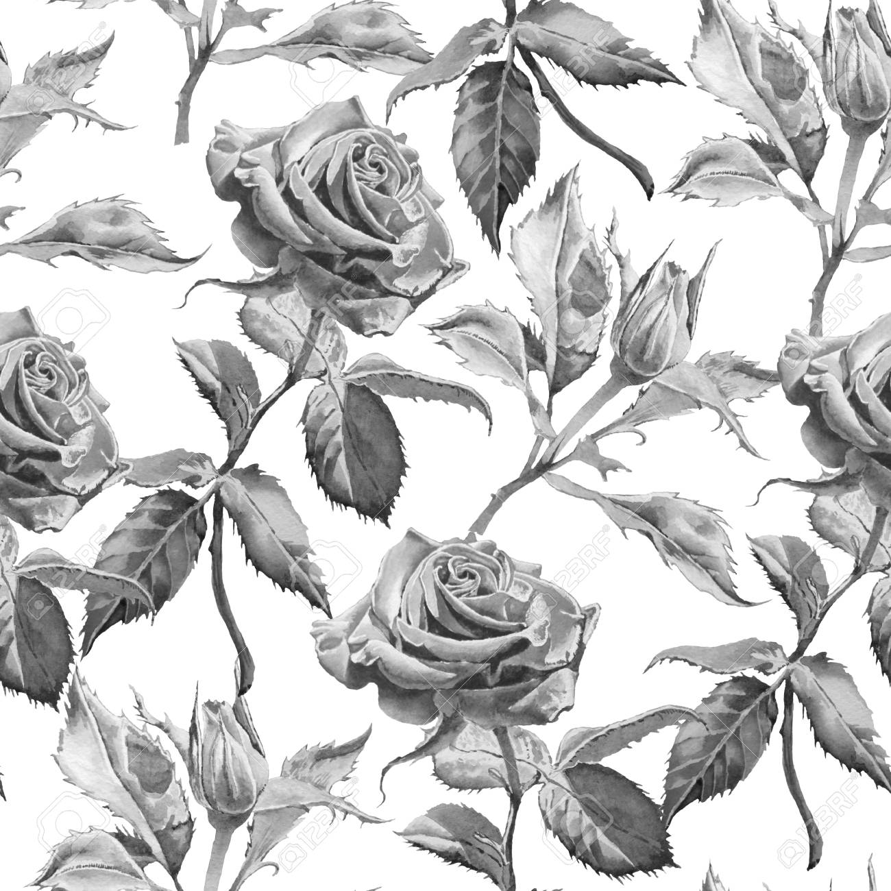 バラで白黒のシームレスなパターン 手描き の写真素材 画像素材 Image