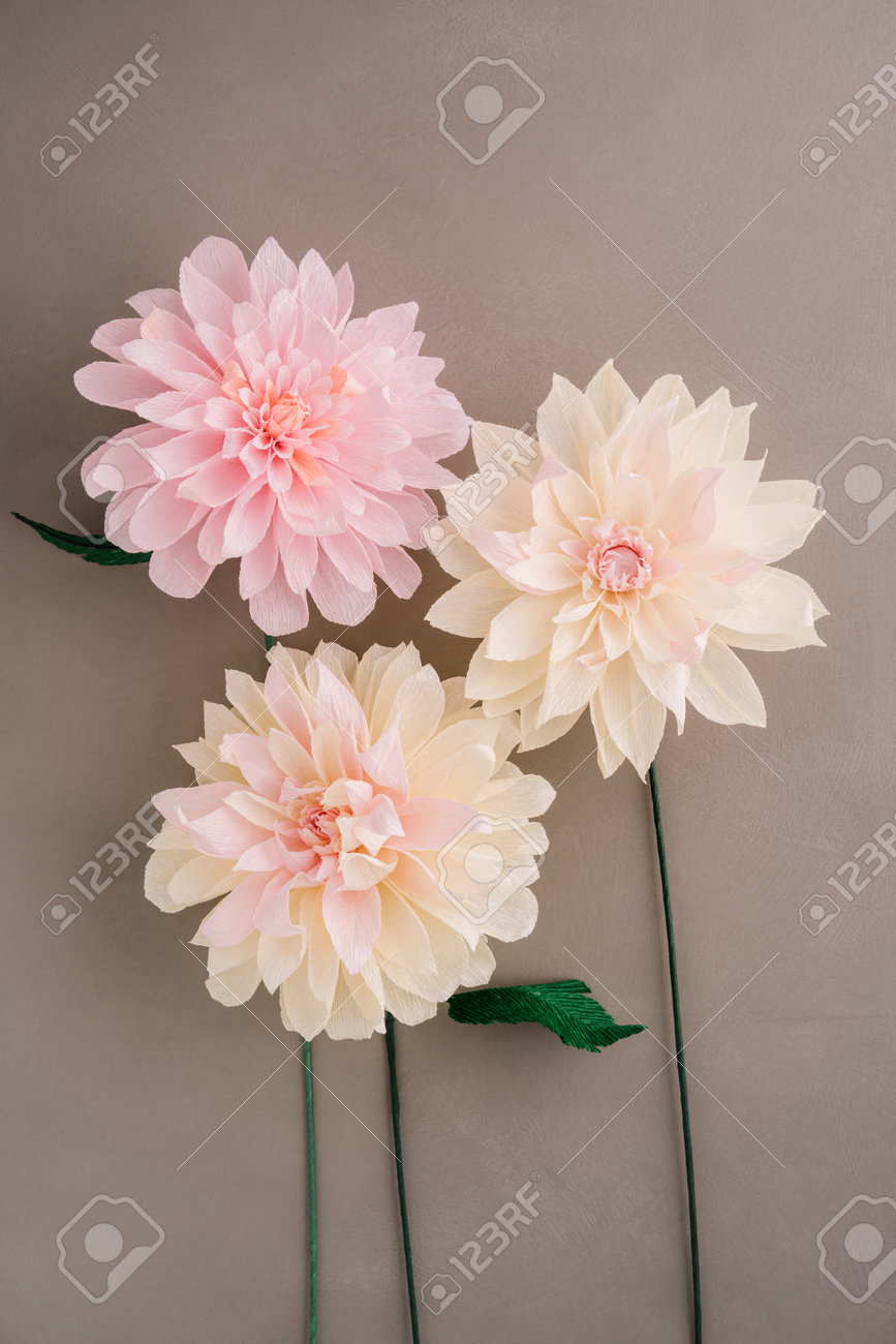three crepe paper dahlias on brown wooden background paper dahlia flower