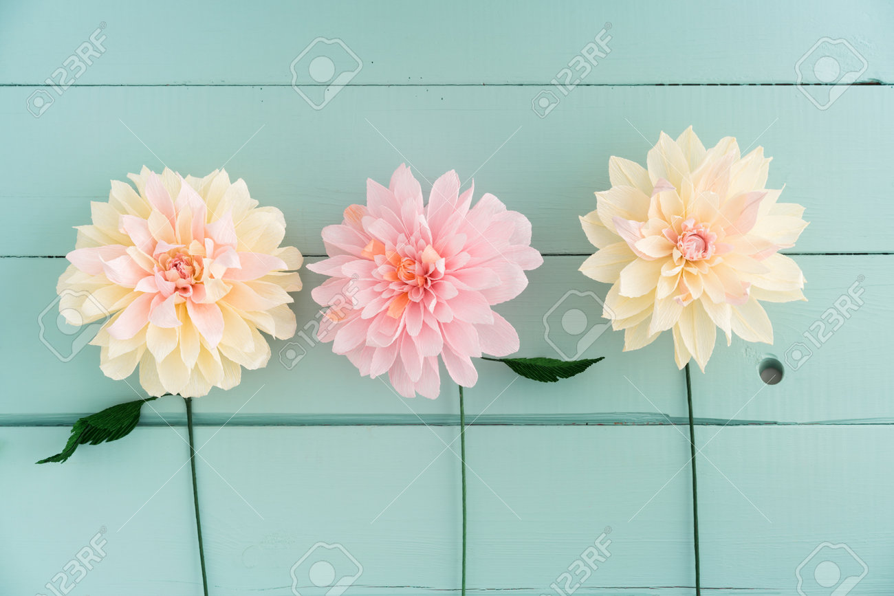 three crepe paper dahlias on turquoise wooden background paper dahlia flower