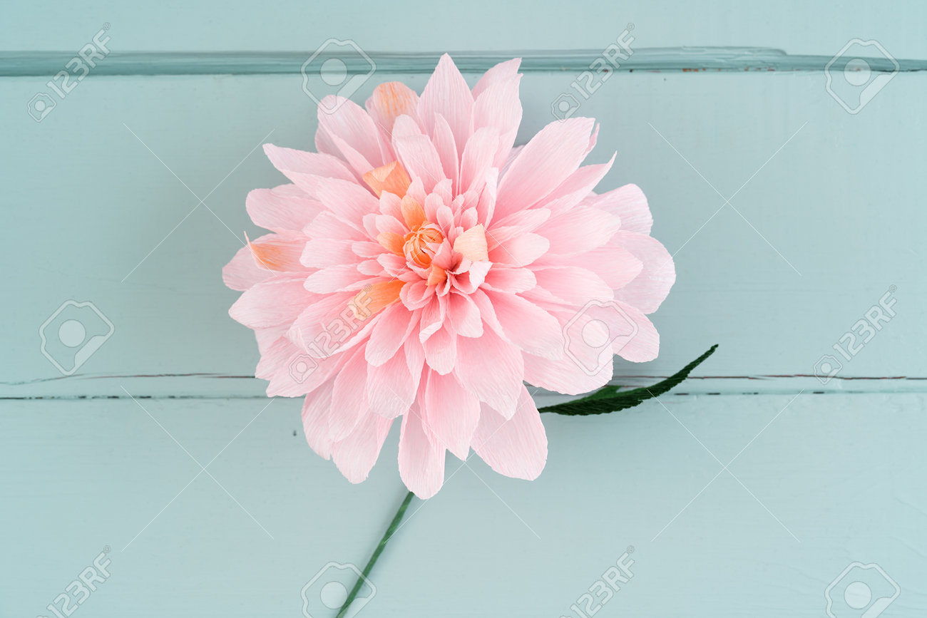 single crepe paper dahlia flower on turquoise wooden background dahlia flower paper