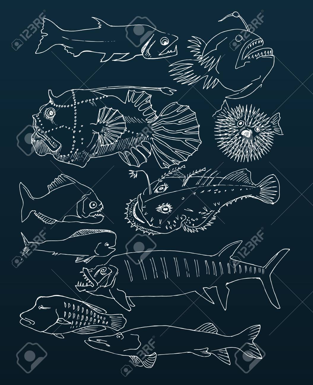 手描きイラスト◇深海魚とイルカ