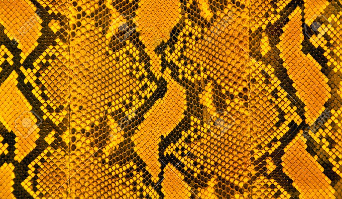 Orange black and yellow stripes of snakeskin - 43271253 Orange black and yellow stripes of snakeskin - 43271253