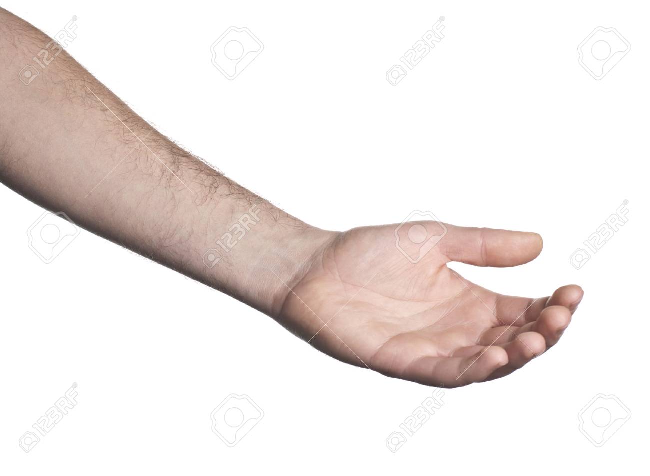 etiam-dictum-ipsum-a-felis