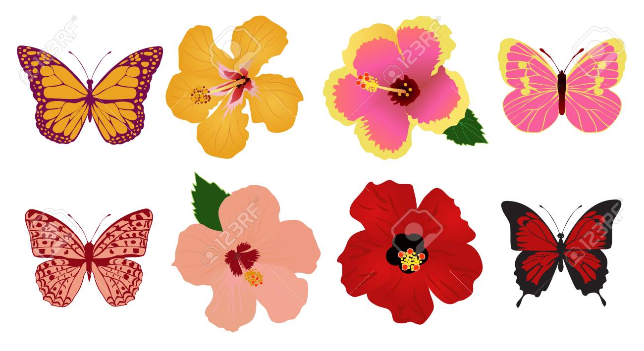 デザイン三線 ハイビスカス&蝶 米須三線店デザイン三線 初心者用