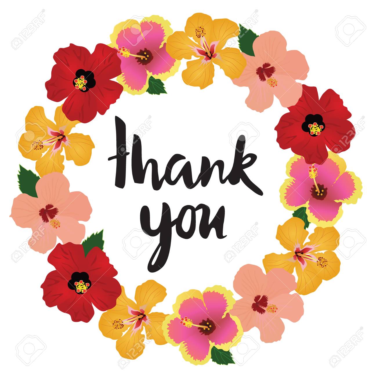 熱帯の花フレームありがとうカードのベクトル イラスト のイラスト素材 ベクタ Image