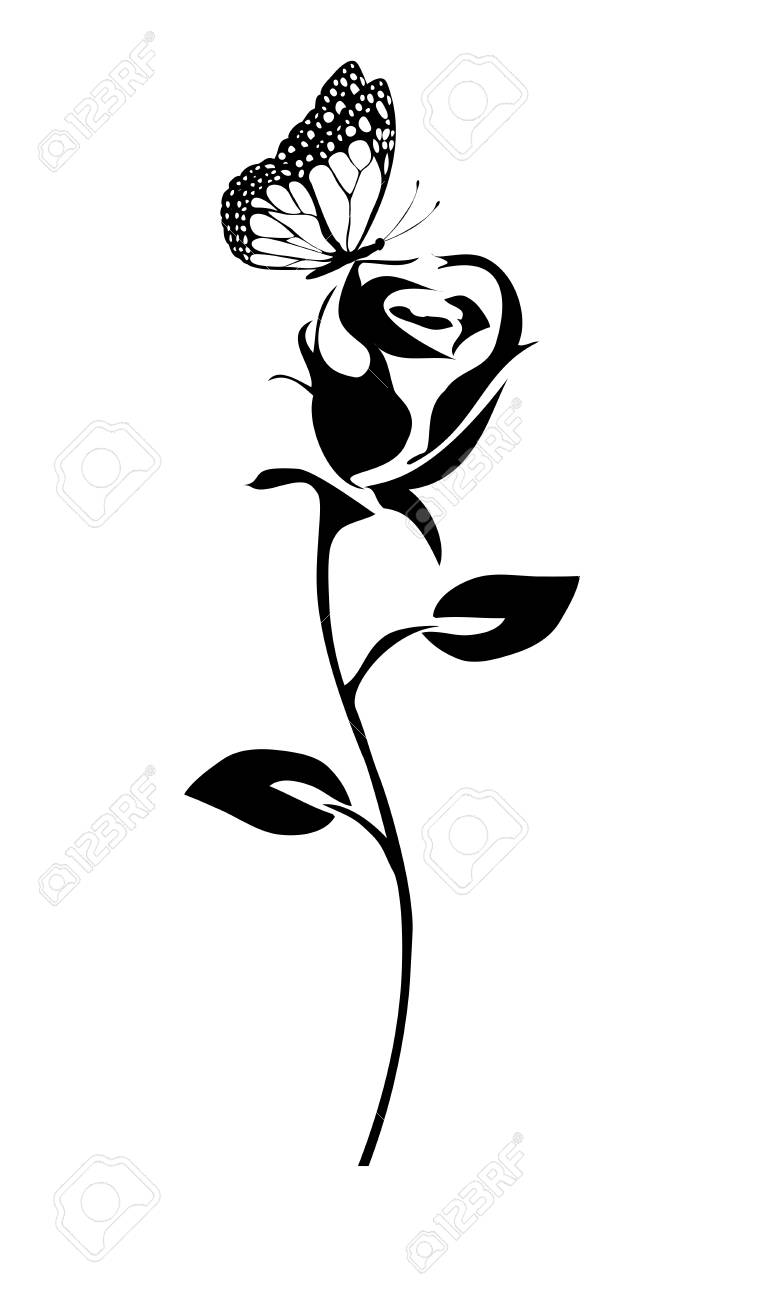 Download Vector Illustration Of A Rose Silhouette With Butterfly Royalty Free Cliparts Vectors And Stock Illustration Image 83109187