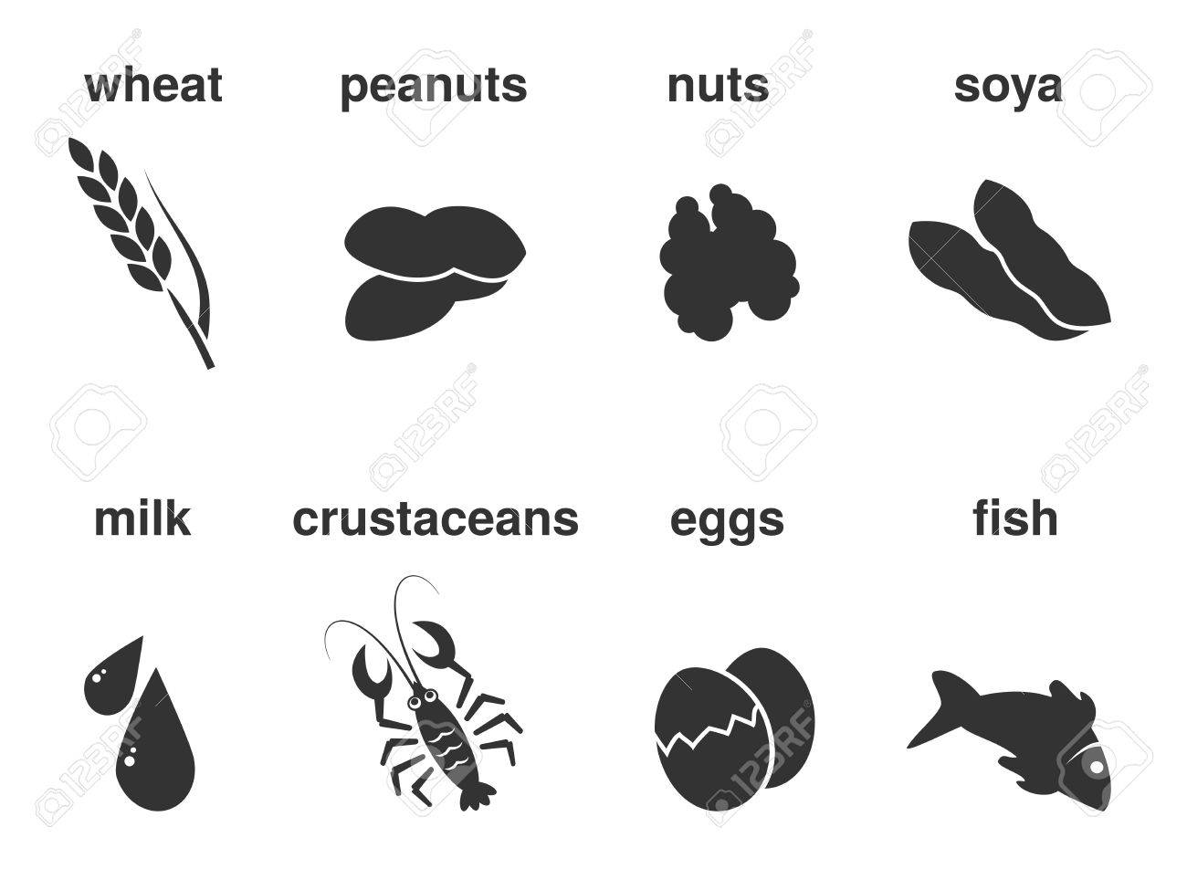 Vector Set Of Dark Grey Symbols Of The Most Common Food Allergies Icon Of Wheat Vector Set Of Dark Grey Symbols Of The Most Common Food Allergies Icon Of Wheat