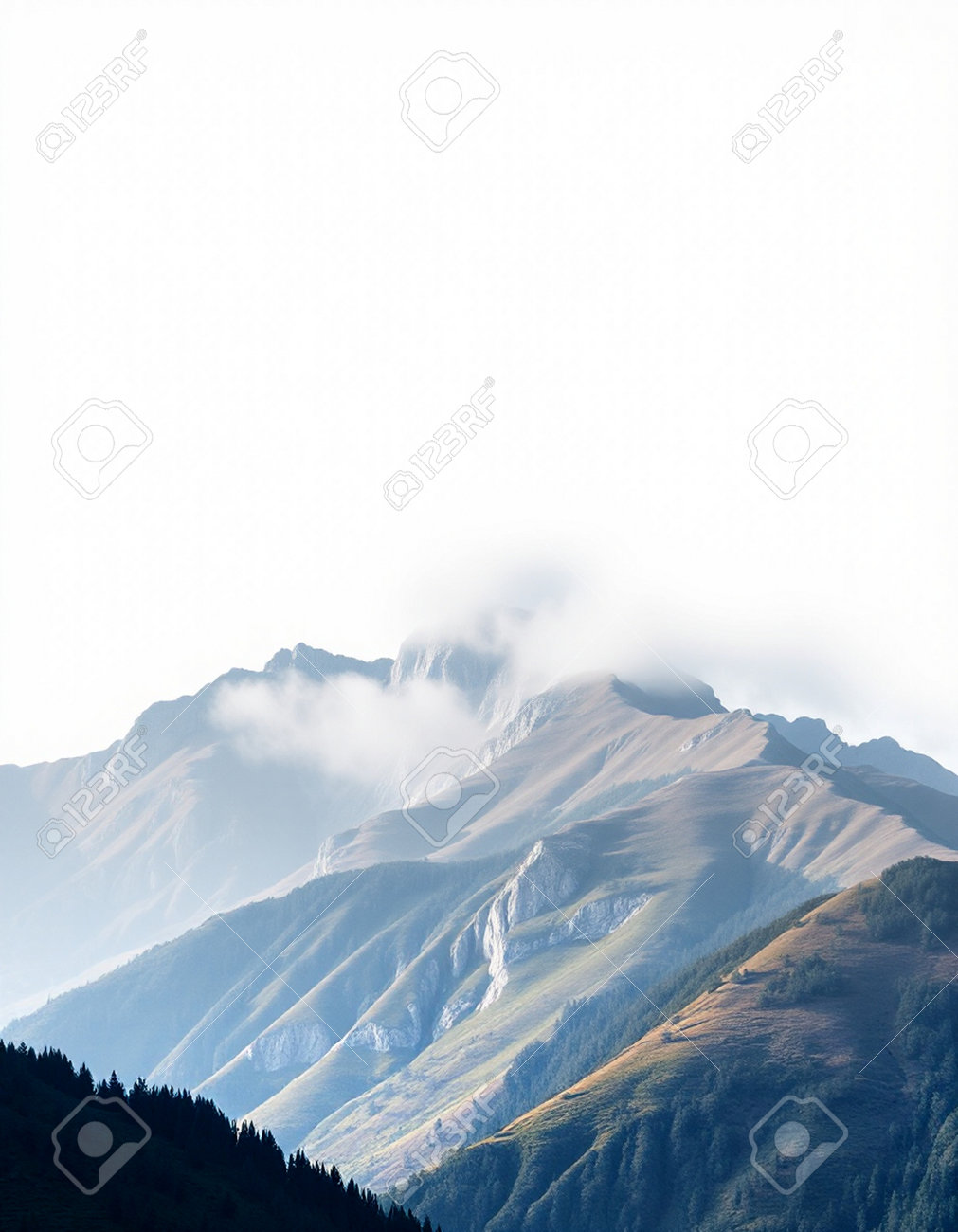 etiam-dictum-ipsum-a-felis