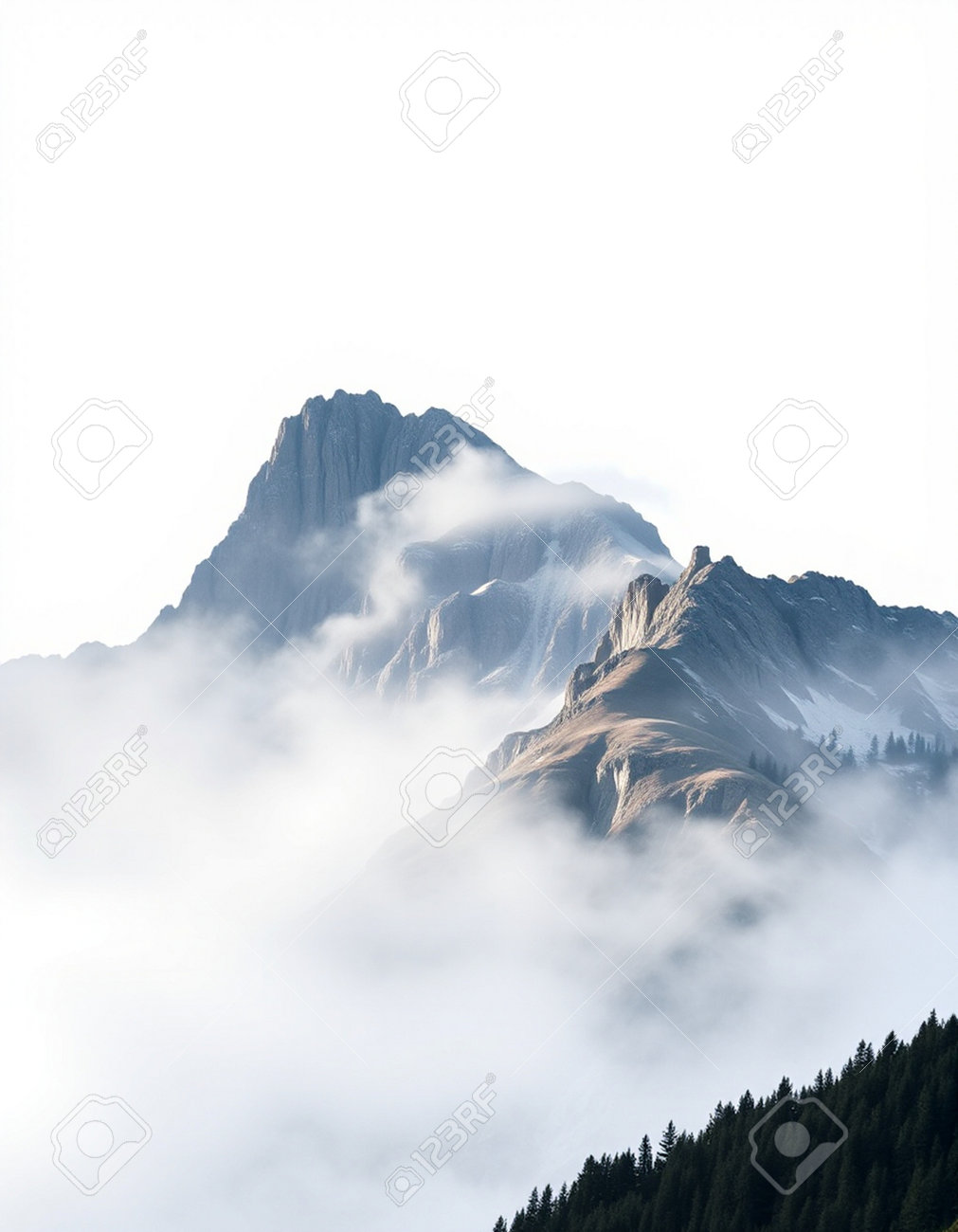 etiam-dictum-ipsum-a-felis