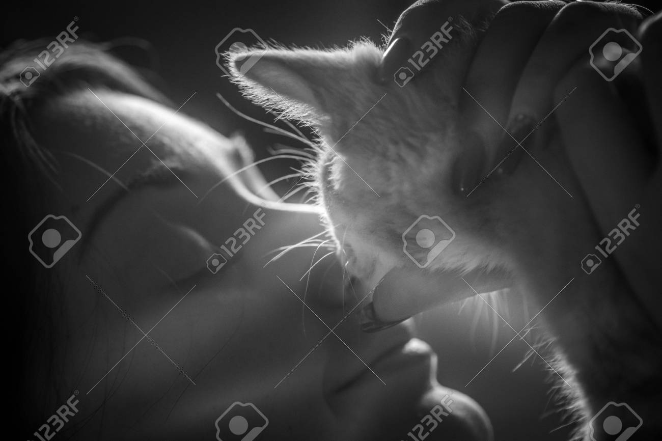 etiam-dictum-ipsum-a-felis