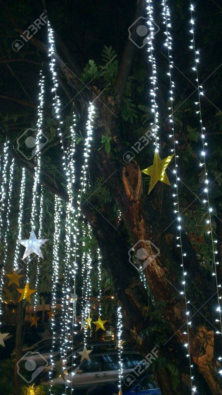 Hängende Lichter Am Baum Lizenzfreie Fotos, Bilder Und Stock Fotografie.  Image 24766918.