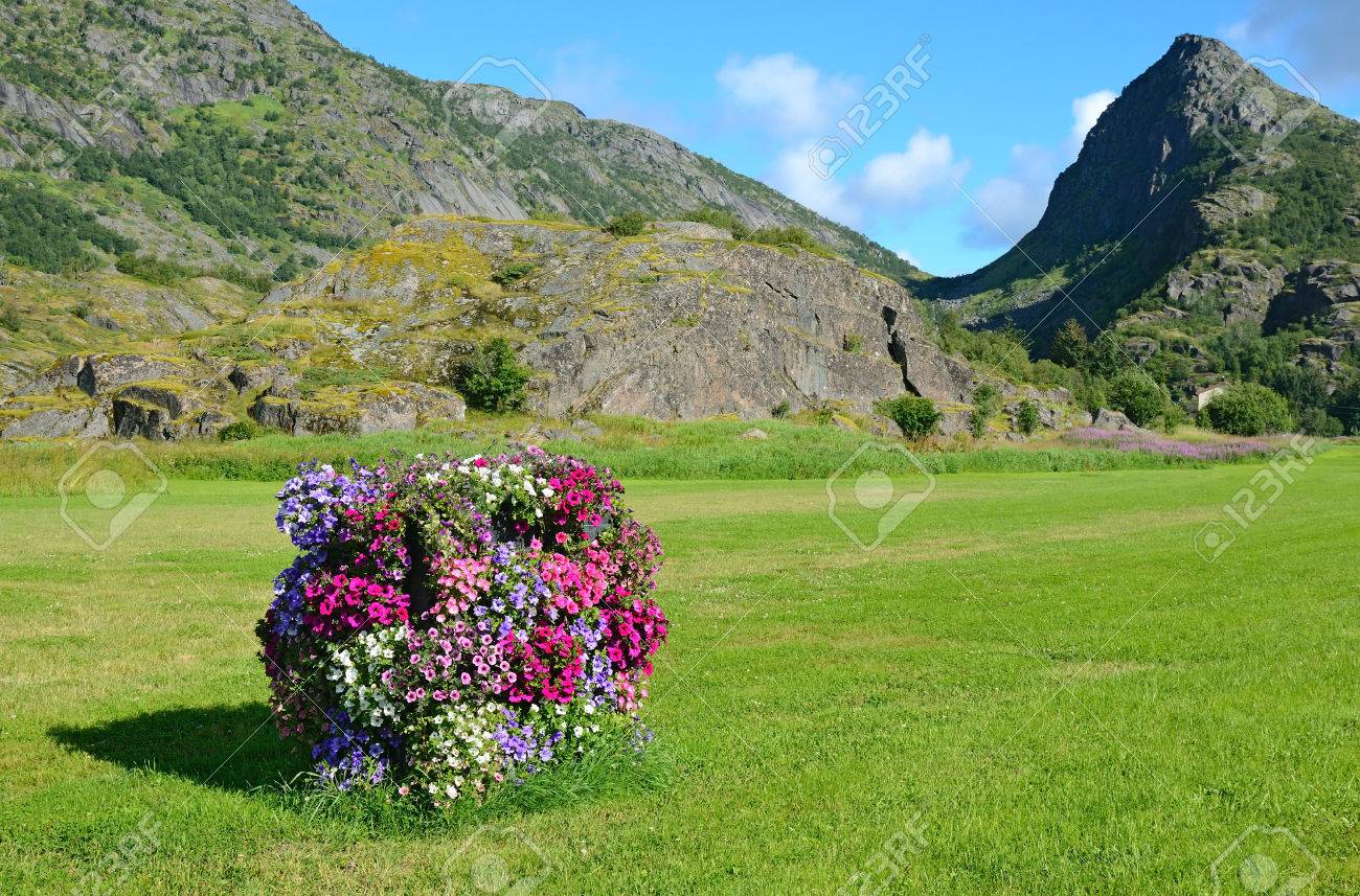 Norwegian rural view with a vertical flowerbed - 78247069 Norwegian rural view with a vertical flowerbed - 78247069