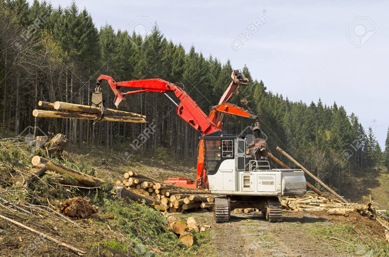 logger equipment
