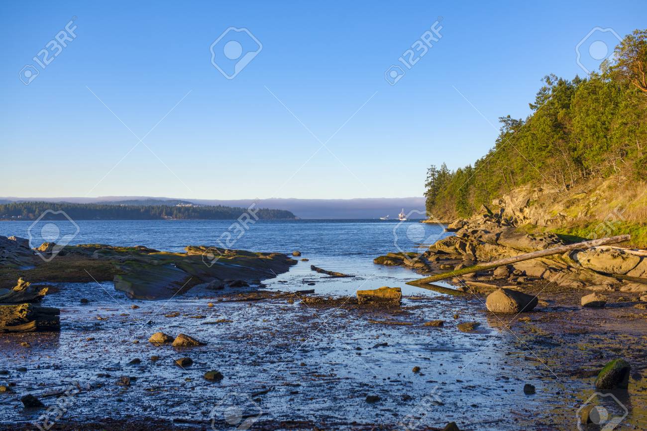 georgia ocean
