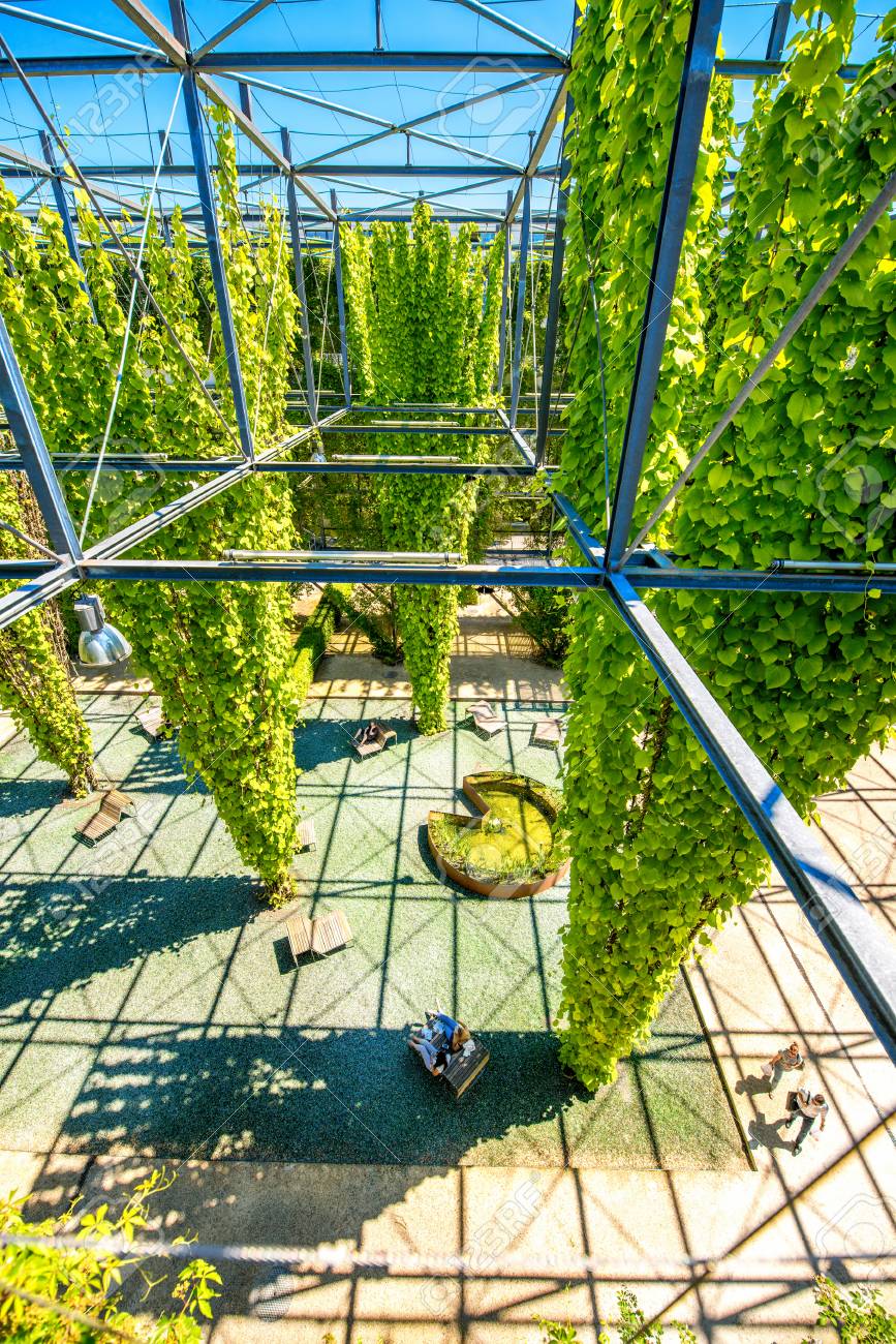 Zurich Suiza 28 De Junio 2016 Parque Publico Mfo En El Barrio