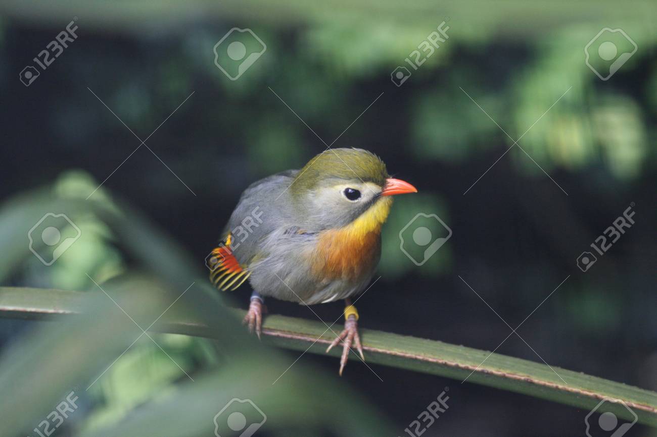 etiam-dictum-ipsum-a-felis