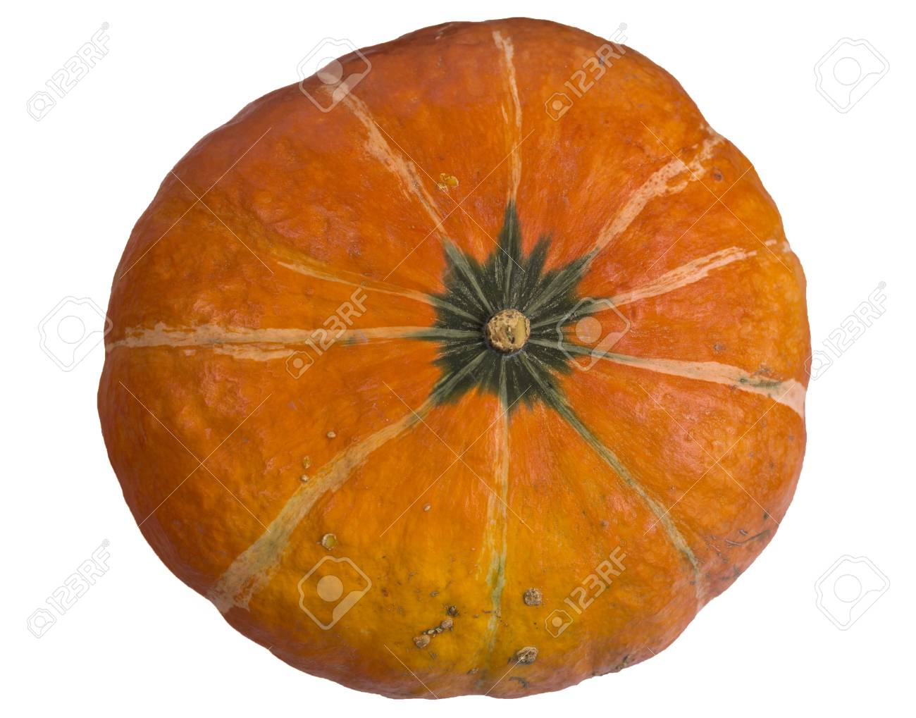 The Orange Kabocha Is A Variety Of Winter Squash Looking Like A Squat  Pumpkin With Mottled Outer Texture And Beautiful Golden Flesh. Фотография,  картинки, изображения и сток-фотография без роялти. Image 79450070