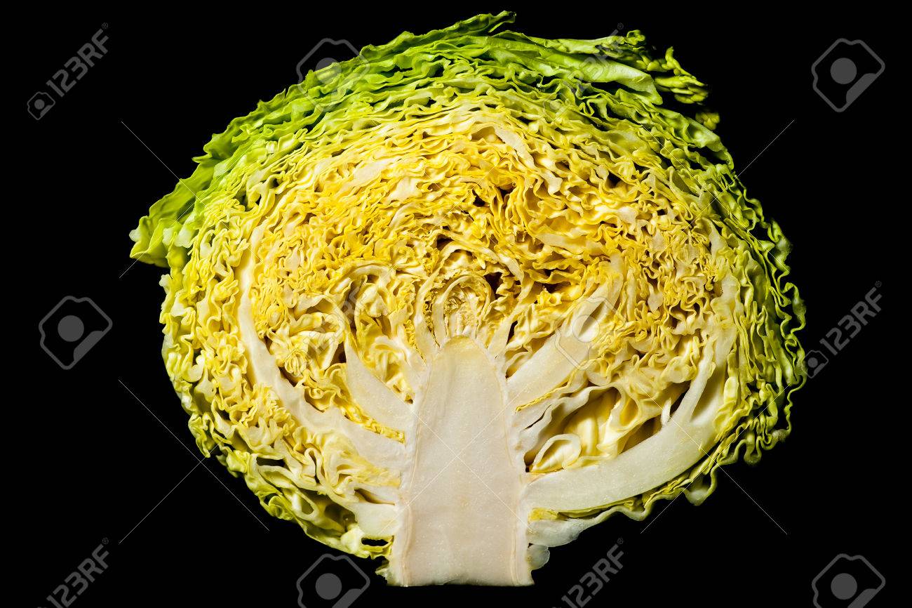 Cross Section Of A Simple Cabbage Revealing Its Internal Complexity Stock Photo Picture And Royalty Free Image Image