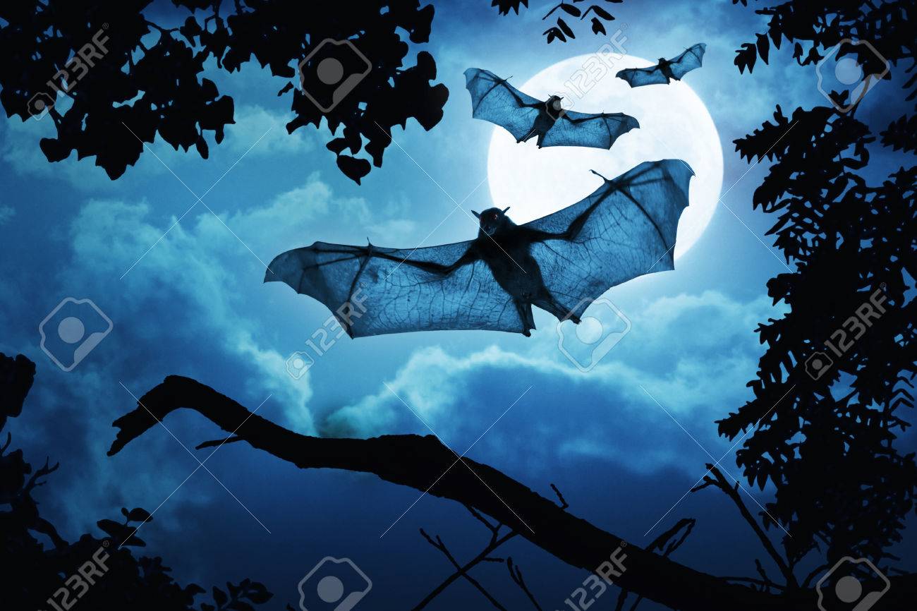 不気味なコウモリがハロウィーンの夜の満月で飛ぶ の写真素材 画像素材 Image
