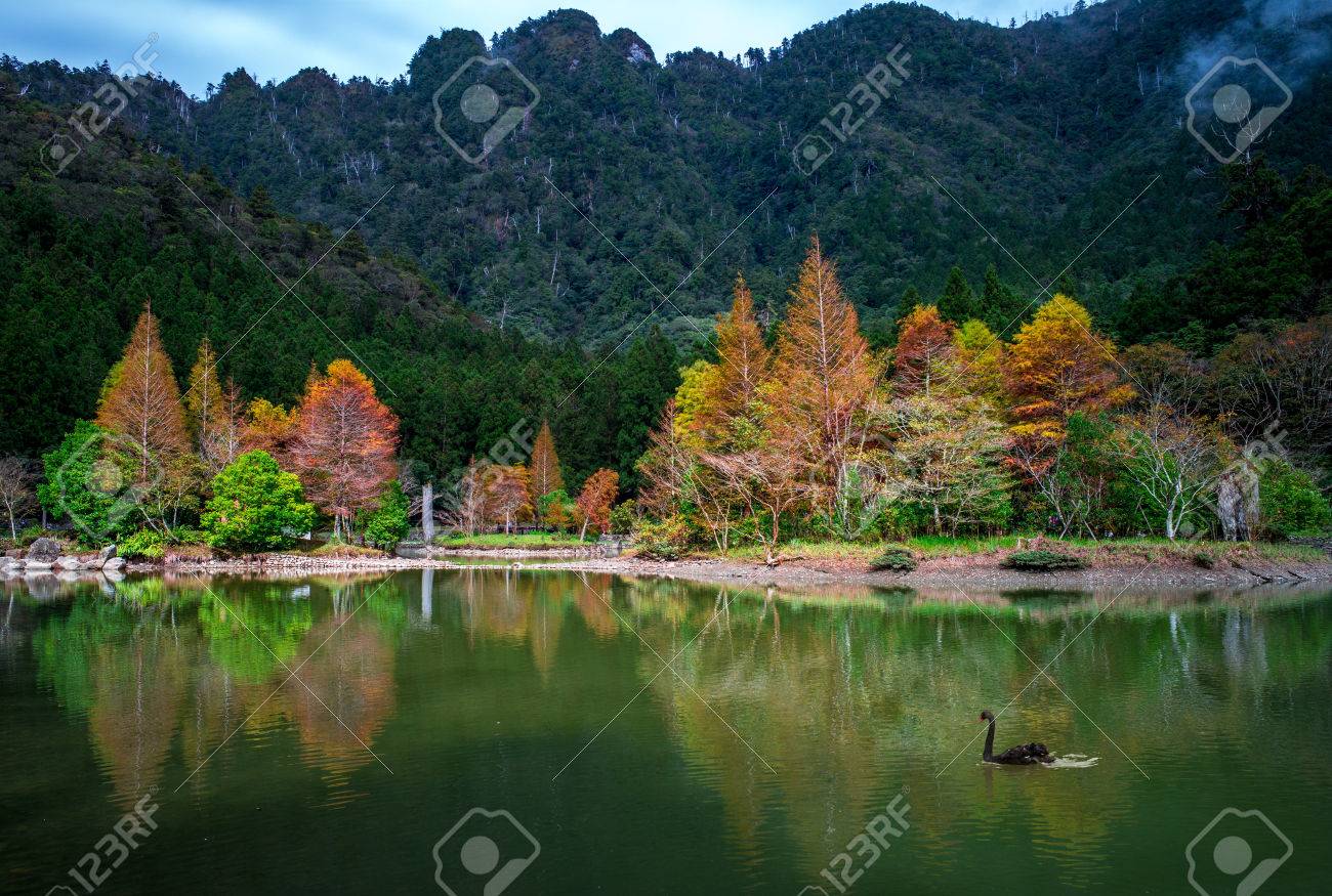 mingchi forest recreation area in yilan, taiwan - 67007784 mingchi forest recreation area in yilan, taiwan - 67007784