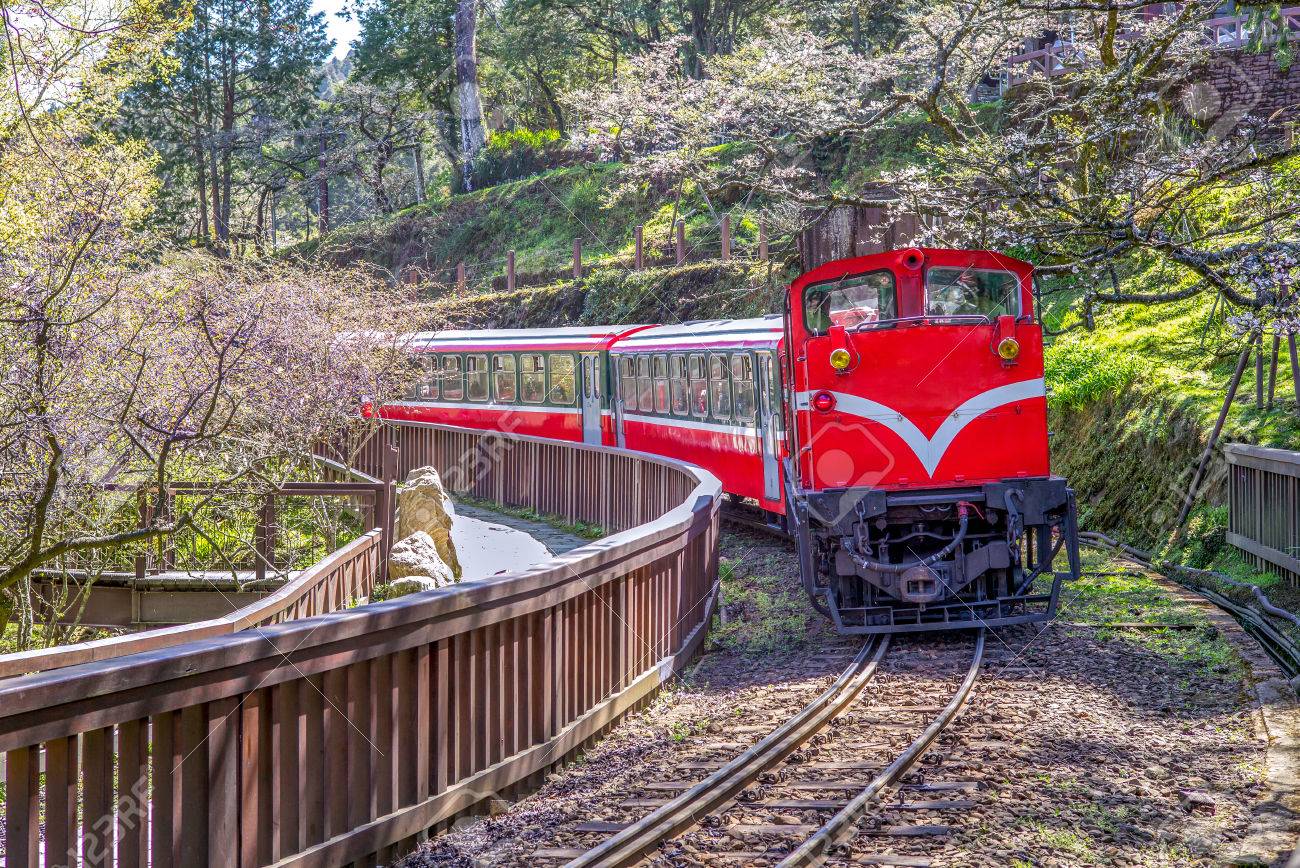 railway in alishan forest recreation area in chiayi - 77866292 railway in alishan forest recreation area in chiayi - 77866292