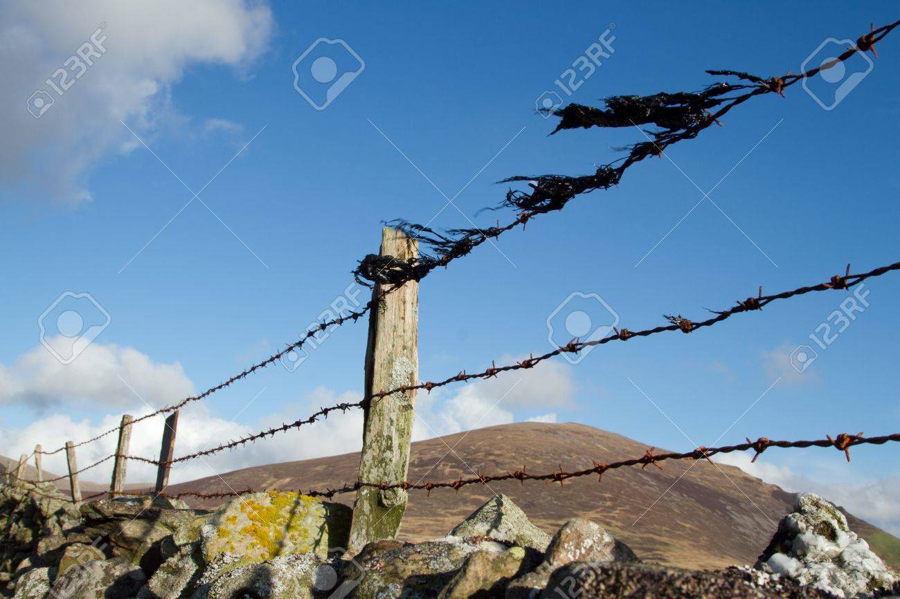 Old Barbed Wire Fence Old Barbed Wire Fence