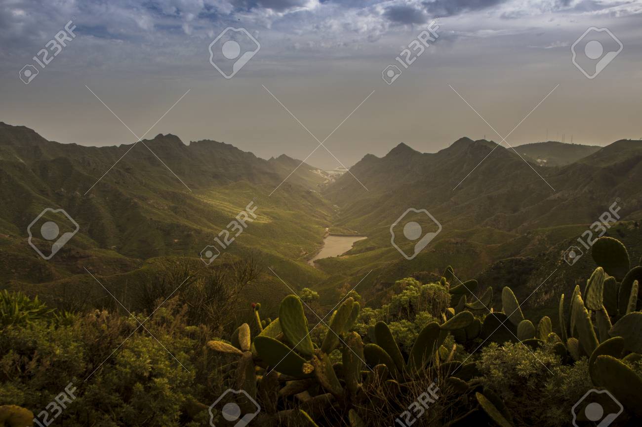 etiam-dictum-ipsum-a-felis